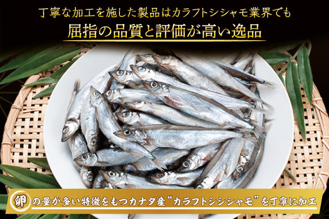 【定期便】 子持ち カラフトシシャモ ２kg (500g×4袋) 訳アリ シシャモ ししゃも カラフトししゃも 大洗 規格外 訳あり わけあり 傷 半年お届け（2ヶ月に1度 ２kg × 3回 お届け ）