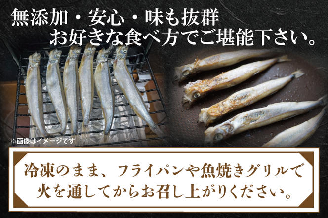 【定期便】 子持ち カラフトシシャモ ２kg (500g×4袋) 訳アリ シシャモ ししゃも カラフトししゃも 大洗 規格外 訳あり わけあり 傷 半年お届け（2ヶ月に1度 ２kg × 3回 お届け ）