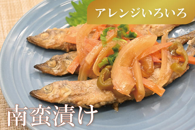 【定期便】 子持ち カラフトシシャモ ２kg (500g×4袋) 訳アリ シシャモ ししゃも カラフトししゃも 大洗 規格外 訳あり わけあり 傷 半年お届け（2ヶ月に1度 ２kg × 3回 お届け ）