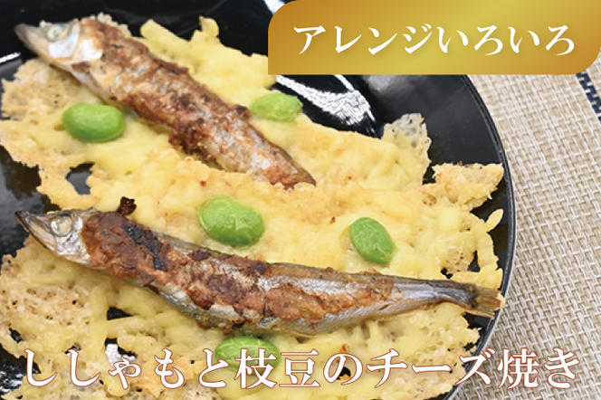 【定期便】 子持ち カラフトシシャモ ２kg (500g×4袋) 訳アリ シシャモ ししゃも カラフトししゃも 大洗 規格外 訳あり わけあり 傷 半年お届け（2ヶ月に1度 ２kg × 3回 お届け ）