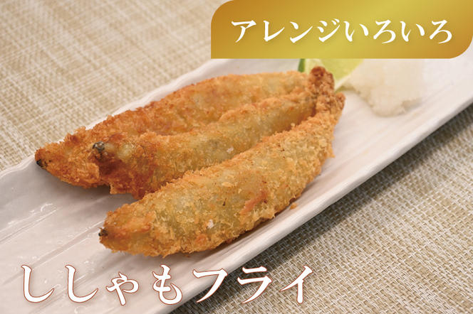 【定期便】 子持ち カラフトシシャモ ２kg (500g×4袋) 訳アリ シシャモ ししゃも カラフトししゃも 大洗 規格外 訳あり わけあり 傷 半年お届け（2ヶ月に1度 ２kg × 3回 お届け ）