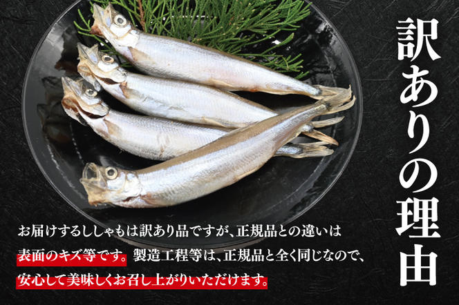 【定期便】 子持ち カラフトシシャモ ２kg (500g×4袋) 訳アリ シシャモ ししゃも カラフトししゃも 大洗 規格外 訳あり わけあり 傷 半年お届け（2ヶ月に1度 ２kg × 3回 お届け ）