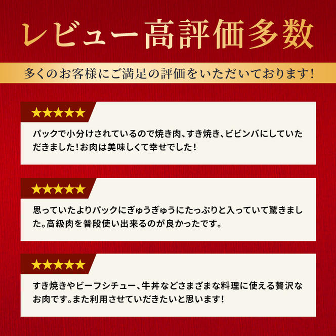 神戸牛 切落とし 250g×2P 普段使い 家庭用 神戸牛スライス 250g 2パック 神戸ビーフ 和牛 ブランド牛 牛 牛肉 肉 お肉 小分け 小分けパック すき焼き 牛丼 炒め物