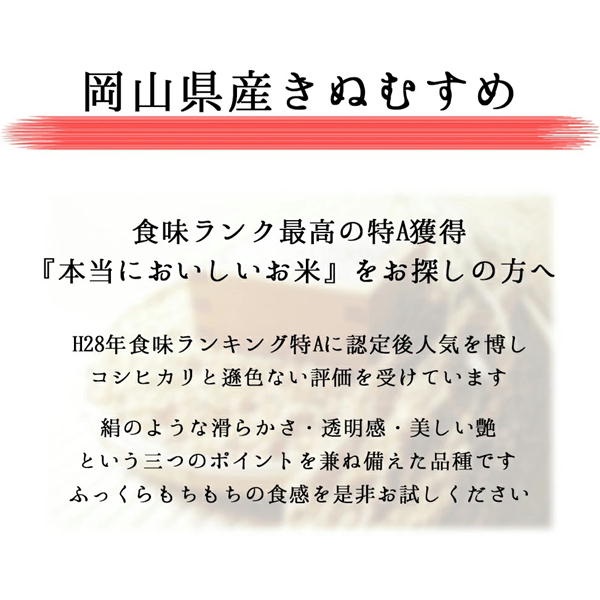 令和6年産 無洗米 きぬむすめ 5kg (5kg×1袋) 岡山県産 お米