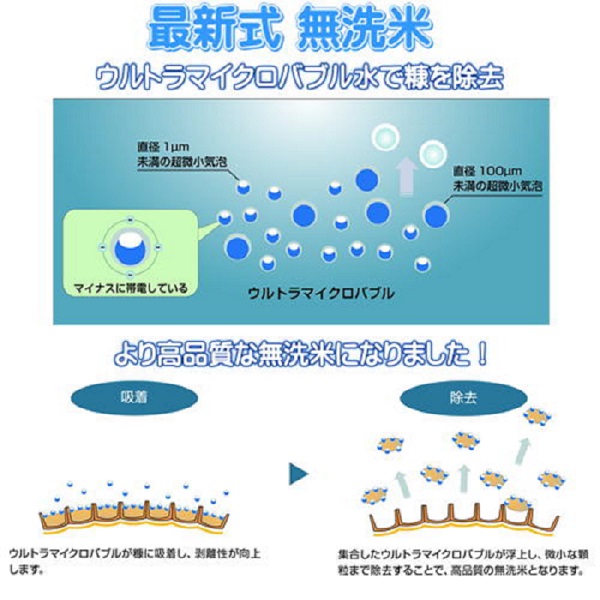 令和6年産 無洗米 きぬむすめ 10kg (5kg×2袋) 岡山県産 お米