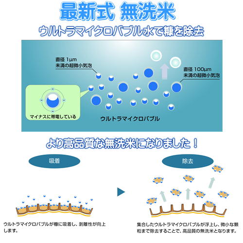 令和6年産 無洗米ひのひかり10kg (5kg×2袋) 岡山県産 お米