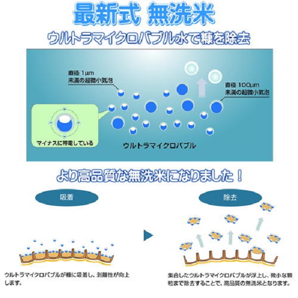 令和6年産 無洗米あけぼの 5kg (5kg×1袋) 岡山県産 お米