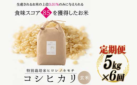 【6回定期】特別栽培米 コシヒカリ ヒロシノキモチ 玄米 5kg 総計30kg 陽咲玲 米 お米 コメ ご飯 ごはん 富山県産 富山県 立山町 F6T-466