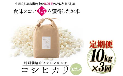 【3回定期】特別栽培米 コシヒカリ ヒロシノキモチ 無洗米 10kg 総計30kg 陽咲玲 米 お米 コメ 無洗米 ご飯 ごはん 富山県産 富山県 立山町 F6T-470