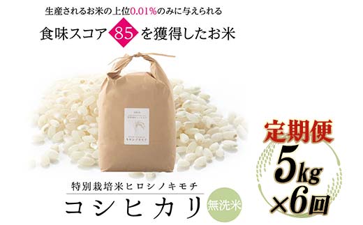 【6回定期】特別栽培米 コシヒカリ ヒロシノキモチ 無洗米 5kg 総計30kg 陽咲玲 米 お米 コメ 無洗米 ご飯 ごはん 富山県産 富山県 立山町 F6T-472