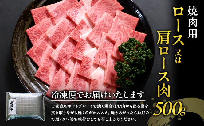 牛肉 飛騨牛 焼き肉 セット ロース 又は 肩ロース 500g 黒毛和牛 Ａ5 美味しい お肉 牛 肉 和牛 焼肉 BBQ バーベキュー 【岐阜県瑞穂市】