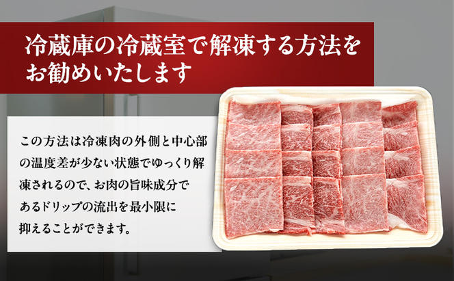 牛肉 飛騨牛 焼き肉 セット ロース 又は 肩ロース 500g 黒毛和牛 Ａ5 美味しい お肉 牛 肉 和牛 焼肉 BBQ バーベキュー 【岐阜県瑞穂市】