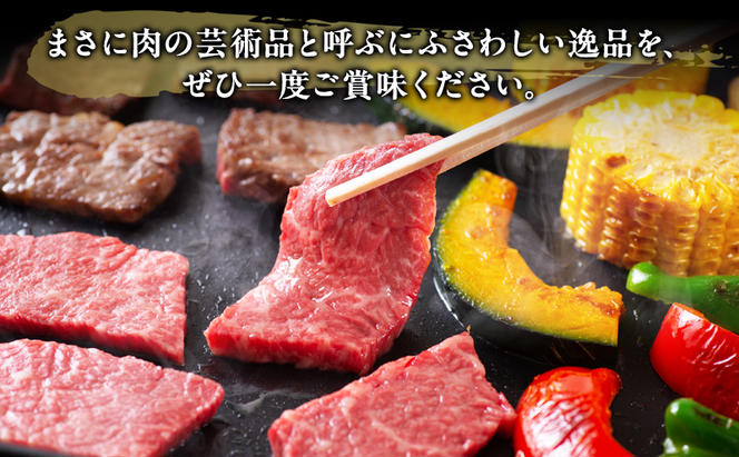 牛肉 飛騨牛 焼き肉 セット ロース 又は 肩ロース 500g 黒毛和牛 Ａ5 美味しい お肉 牛 肉 和牛 焼肉 BBQ バーベキュー 【岐阜県瑞穂市】