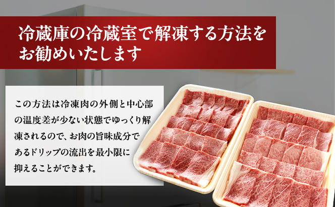 牛肉 飛騨牛 焼き肉 セット 赤身 モモ 又は カタ 1kg 黒毛和牛 Ａ5 美味しい お肉 牛 肉 和牛 焼肉 BBQ バーベキュー 【岐阜県瑞穂市】