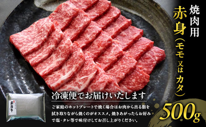 牛肉 飛騨牛 焼き肉 セット 赤身 モモ 又は カタ 500g 黒毛和牛 Ａ5 美味しい お肉 牛 肉 和牛 焼肉 BBQ バーベキュー 【岐阜県瑞穂市】