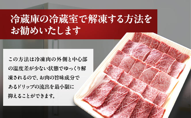 牛肉 飛騨牛 焼き肉 セット 赤身 モモ 又は カタ 500g 黒毛和牛 Ａ5 美味しい お肉 牛 肉 和牛 焼肉 BBQ バーベキュー 【岐阜県瑞穂市】