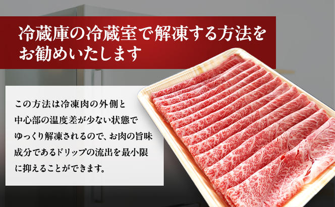 牛肉 飛騨牛 すき焼き しゃぶしゃぶ セット 赤身 モモ 又は カタ 500g 黒毛和牛 Ａ5 美味しい お肉 牛 肉 和牛 すき焼き肉 すきやき すき焼肉 しゃぶしゃぶ肉 【岐阜県瑞穂市】