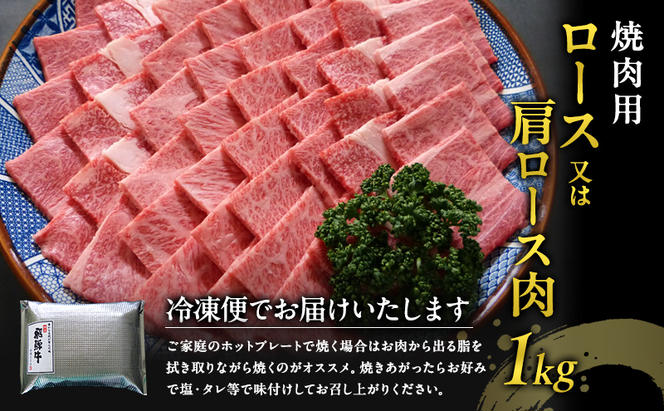 牛肉 飛騨牛 焼き肉 セット ロース 又は 肩ロース 1kg 黒毛和牛 Ａ5 美味しい お肉 牛 肉 和牛 焼肉 BBQ バーベキュー 【岐阜県瑞穂市】