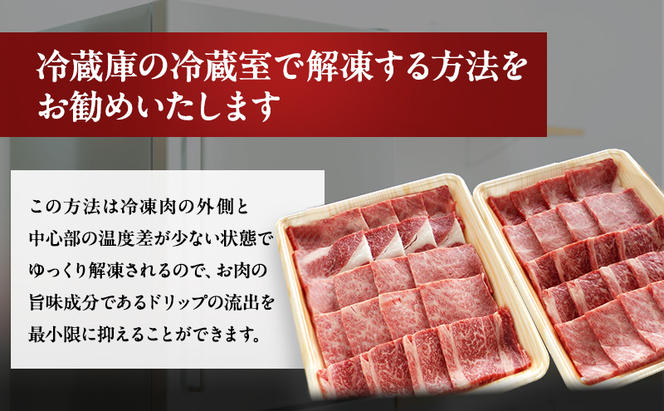 牛肉 飛騨牛 焼き肉 セット ロース 又は 肩ロース 1kg 黒毛和牛 Ａ5 美味しい お肉 牛 肉 和牛 焼肉 BBQ バーベキュー 【岐阜県瑞穂市】