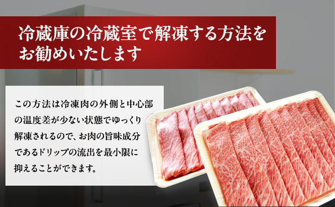 飛騨牛 1kg (500g×2パック) ロース 又は 肩ロース A5 すき焼き しゃぶしゃぶ セット 黒毛和牛 和牛 すき焼き肉 しゃぶしゃぶ肉 1キロ ブランド牛 牛肉 牛 肉 お肉 ビーフ 焼肉 焼き肉 すき焼肉 すき焼 すきやき 冷凍 冷凍配送 岐阜 岐阜県 瑞穂市