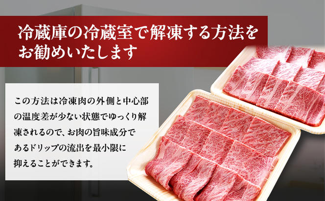 牛肉 飛騨牛 焼き肉 セット ロース 又は 肩ロース 600g 黒毛和牛 Ａ5 美味しい お肉 牛 肉 和牛 焼肉 BBQ バーベキュー 【岐阜県瑞穂市】