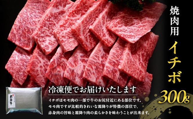 牛肉 飛騨牛 焼肉 希少部位 イチボ 300g 赤身 モモ 黒毛和牛 A5 美味しい お肉 牛 肉 和牛 焼き肉 BBQ バーベキュー 【岐阜県瑞穂市】