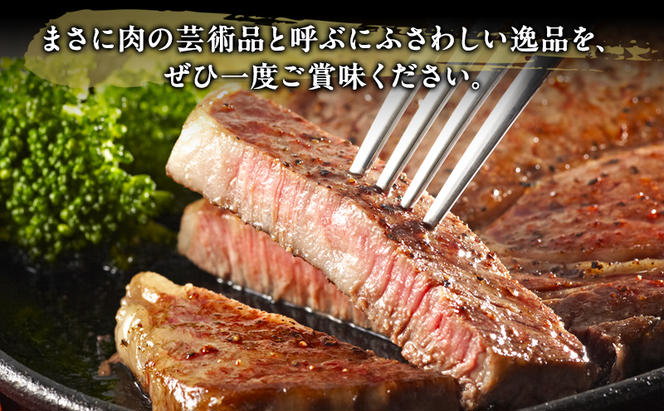 牛肉 飛騨牛 サーロイン ステーキ セット 400g（1枚 約200g×2枚） 黒毛和牛 A5 美味しい お肉 牛 肉 和牛 サーロインステーキ 【岐阜県瑞穂市】