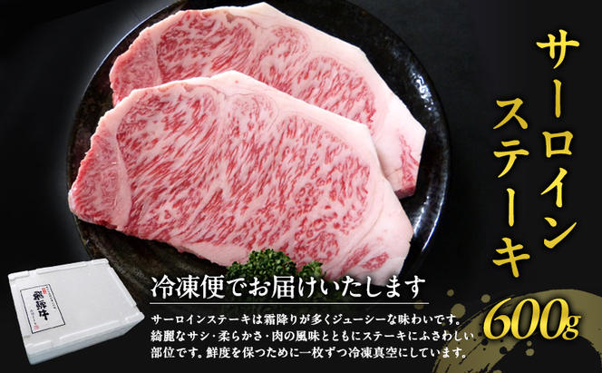 牛肉 飛騨牛 サーロイン ステーキ セット 600g（1枚 約300g×2枚） 黒毛和牛 A5 美味しい お肉 牛 肉 和牛 サーロインステーキ 【岐阜県瑞穂市】