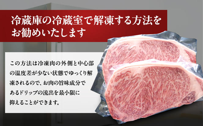 牛肉 飛騨牛 サーロイン ステーキ セット 600g（1枚 約300g×2枚） 黒毛和牛 A5 美味しい お肉 牛 肉 和牛 サーロインステーキ 【岐阜県瑞穂市】