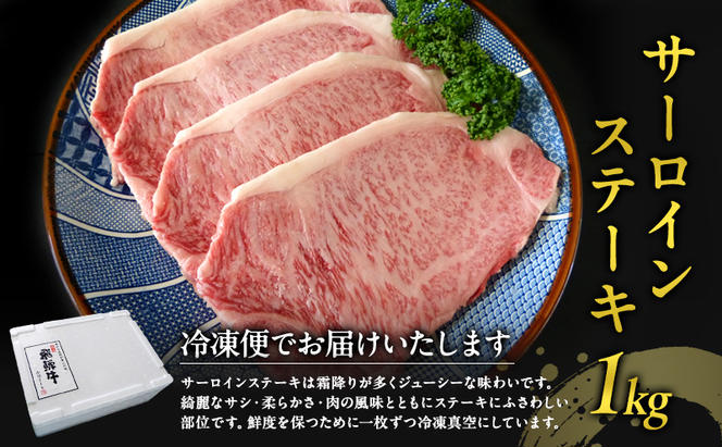 牛肉 飛騨牛 サーロイン ステーキ セット 1kg（1枚 約250g×4枚 ） 黒毛和牛 A5 美味しい お肉 牛 肉 和牛 サーロインステーキ 【岐阜県瑞穂市】