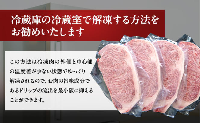 牛肉 飛騨牛 サーロイン ステーキ セット 1kg（1枚 約250g×4枚 ） 黒毛和牛 A5 美味しい お肉 牛 肉 和牛 サーロインステーキ 【岐阜県瑞穂市】