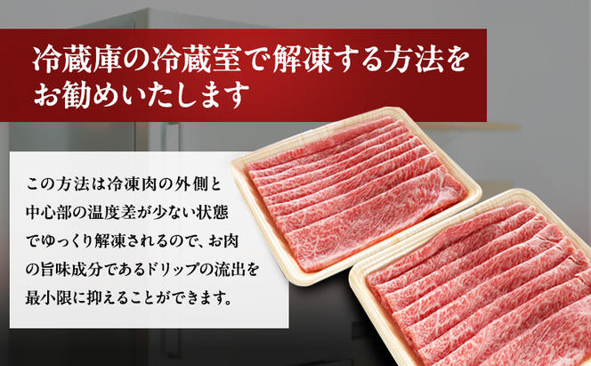 牛肉 飛騨牛 すき焼き しゃぶしゃぶ セット 赤身 モモ 又は カタ 600g 黒毛和牛 A5 美味しい お肉 牛 肉 和牛 すき焼き肉 すきやき すき焼肉 しゃぶしゃぶ肉 【岐阜県瑞穂市】