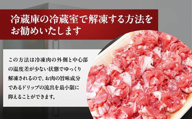 牛肉 飛騨牛 小間切れ 500g 黒毛和牛 A5 美味しい お肉 牛 肉 和牛 肉じゃが 牛丼 【岐阜県瑞穂市】