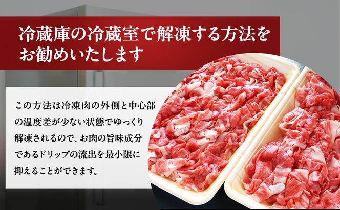 牛肉 飛騨牛 小間切れ 1kg 黒毛和牛 A5 美味しい お肉 牛 肉 和牛 肉じゃが 牛丼 【岐阜県瑞穂市】