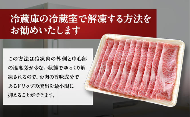 【定期便3ヶ月】牛肉 飛騨牛 すき焼き セット ロース 又は 肩ロース 500g 黒毛和牛 Ａ5 美味しい お肉 牛 肉 和牛 すき焼き肉 すきやき すき焼肉 しゃぶしゃぶ しゃぶしゃぶ肉 【岐阜県瑞穂市】