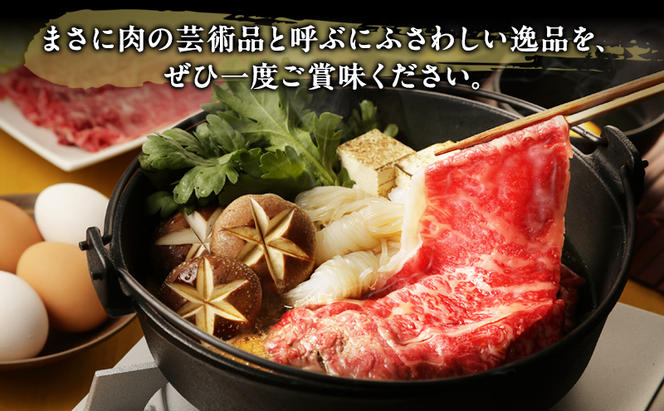 【定期便3ヶ月】牛肉 飛騨牛 すき焼き セット ロース 又は 肩ロース 500g 黒毛和牛 Ａ5 美味しい お肉 牛 肉 和牛 すき焼き肉 すきやき すき焼肉 しゃぶしゃぶ しゃぶしゃぶ肉 【岐阜県瑞穂市】