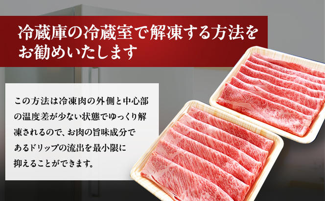 【定期便12ヶ月】牛肉 飛騨牛 すき焼き セット ロース 又は 肩ロース 600g 黒毛和牛 Ａ5 美味しい お肉 牛 肉 和牛 すき焼き肉 すきやき すき焼肉 しゃぶしゃぶ しゃぶしゃぶ肉 【岐阜県瑞穂市】