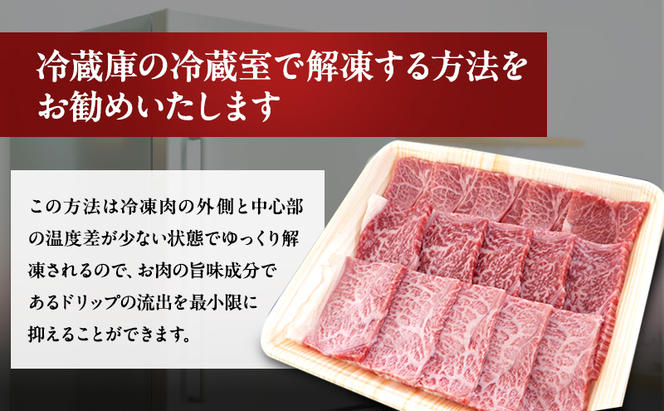 【定期便12ヶ月】牛肉 飛騨牛 すき焼き しゃぶしゃぶ セット 赤身 モモ 又は カタ 600g 黒毛和牛 A5 美味しい お肉 牛 肉 和牛 すき焼き肉 すきやき すき焼肉 しゃぶしゃぶ肉 【岐阜県瑞穂市】