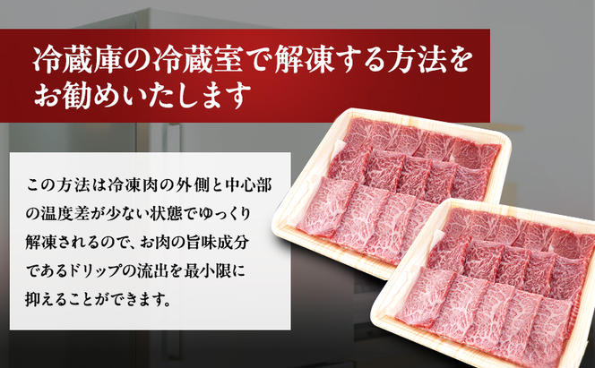 【定期便6ヶ月】牛肉 飛騨牛 焼き肉 セット 赤身 モモ 又は カタ 600g 黒毛和牛 A5 美味しい お肉 牛 肉 和牛 焼肉 BBQ バーベキュー 【岐阜県瑞穂市】