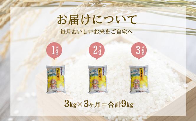 【3ヶ月定期便】新米 令和6年産 えびの産 ひのひかり 3kg×3ヶ月 合計 9kg 定期便 米 お米 白米 ヒノヒカリ おにぎり お弁当 九州 宮崎県 特選米 冷めても美味しい 送料無料