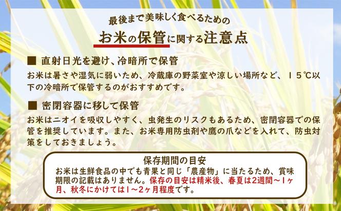 【3ヶ月定期便】新米 令和6年産 えびの産 ひのひかり 3kg×3ヶ月 合計 9kg 定期便 米 お米 白米 ヒノヒカリ おにぎり お弁当 九州 宮崎県 特選米 冷めても美味しい 送料無料