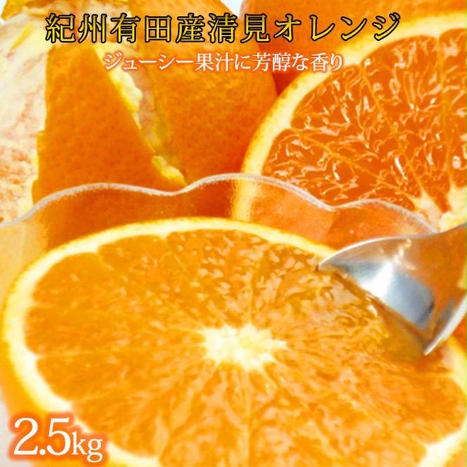 とにかくジューシー清見オレンジ　2.5kg
※2025年3月下旬～4月中旬頃に順次発送予定