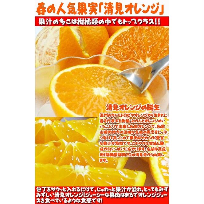 とにかくジューシー清見オレンジ　2.5kg
※2025年3月下旬～4月中旬頃に順次発送予定