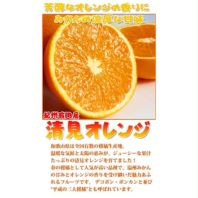 【ご家庭用訳アリ】紀州有田産清見オレンジ　5kg
※2025年3月下旬～4月中旬頃に順次発送予定