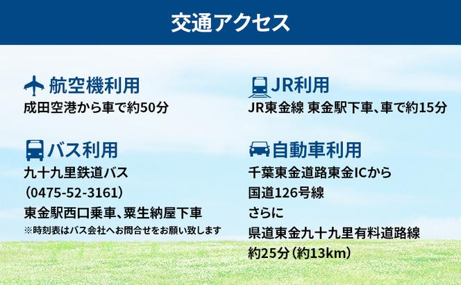 ドゥカーレ九十九里共通 ご利用券 1万円 グランピング 宿泊 旅行 アウトドア BBQ トレーラーハウス ワイルド ラグジュアリー 宿泊券 チケット 九十九里町 千葉