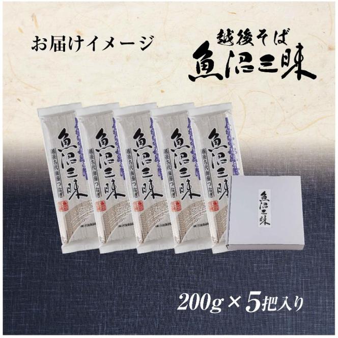 越後そば 魚沼三昧そば 200g×5把 そば 新潟 魚沼 越後 魚沼産 乾麺 送料無料 年越しそば 乾めん 麺類 蕎麦 ソバ 簡単調理 お取り寄せ 魚沼三昧 川治米店 新潟県 十日町市