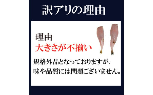 訳あり サバフグ 1kg～2kg 鍋 唐揚げ フグ 塩 焼き 小分け 魚 フグ 河豚 さかな フグ 魚介 海鮮 新鮮 さかな 海の幸 海産物 愛知県サバフグ フグ グリル ごはん 料理 おかず おつまみ 晩酌 愛知県南知多町サバフグ 塩焼き ふぐ冷凍 フグ 南知多町サバフグ 山庄水産株式会社 ふるさと納税サバフグ 愛知県 南知多町 人気 おすすめ 【離島不可】