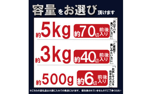 訳あり 塩サバ 切り身 約500g～約5kg 冷凍 鯖 塩 さば 魚 さかな 海鮮 海産物 おかず サバ 鯖ご飯 おすすめ 人気 さば サバ  鯖 魚 魚介 海鮮 惣菜 塩サバ 塩鯖 焼き鯖 サバ 焼きさば 焼さば 減塩  塩 鯖 さば サバ おすすめ 人気 ふるさと納税 鯖 サバ さば ふるさと納税さば 愛知県南知多町 南知多 株式会社 山太 さば 鯖 人気 おすすめ 愛知県 南知多町