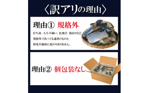 訳あり 塩サバ 切り身 約500g～約5kg 冷凍 鯖 塩 さば 魚 さかな 海鮮 海産物 おかず サバ 鯖ご飯 おすすめ 人気 さば サバ  鯖 魚 魚介 海鮮 惣菜 塩サバ 塩鯖 焼き鯖 サバ 焼きさば 焼さば 減塩  塩 鯖 さば サバ おすすめ 人気 ふるさと納税 鯖 サバ さば ふるさと納税さば 愛知県南知多町 南知多 株式会社 山太 さば 鯖 人気 おすすめ 愛知県 南知多町