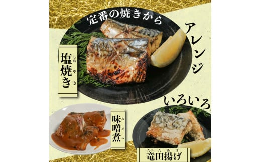 訳あり 塩サバ 切り身 約500g～約5kg 冷凍 鯖 塩 さば 魚 さかな 海鮮 海産物 おかず サバ 鯖ご飯 おすすめ 人気 さば サバ  鯖 魚 魚介 海鮮 惣菜 塩サバ 塩鯖 焼き鯖 サバ 焼きさば 焼さば 減塩  塩 鯖 さば サバ おすすめ 人気 ふるさと納税 鯖 サバ さば ふるさと納税さば 愛知県南知多町 南知多 株式会社 山太 さば 鯖 人気 おすすめ 愛知県 南知多町